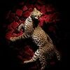 catntonic